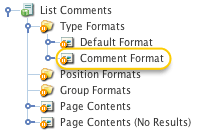 The Comment Format Bodycopy asset