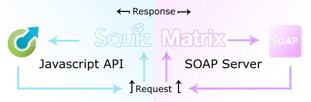 The Javascript API and SOAP Server Web Services