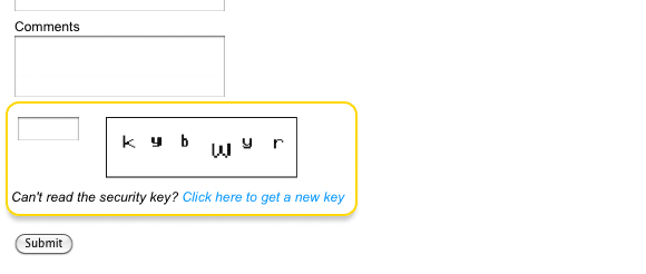 The CAPTCHA field on the Custom Form