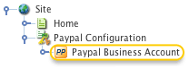 The Paypal Business Account