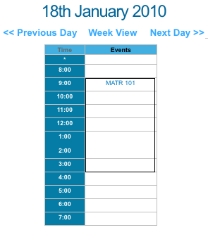 The Day View Calendar format