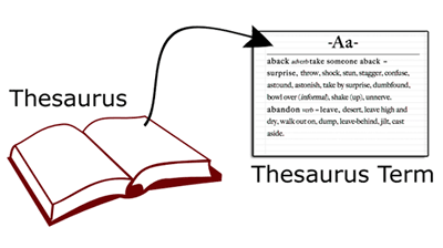 The relation between the Thesaurus and the Thesaurus Term