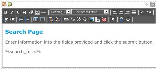 The WYSIWYG Editor on the Initial Search Page Layout Bodycopy