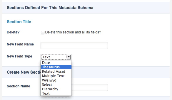 5-0-0_thesaurus-selection-new-field-type-field.png