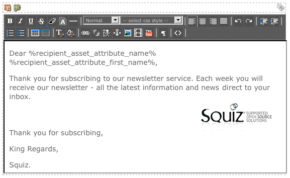 A WYSIWYG Editor displaying the content of an email for Bulkmail
