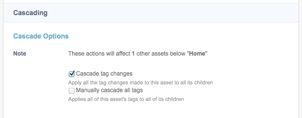 Tagging - Asset Screens - Manuals | Squiz Matrix 5 Documentation