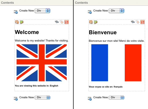 The English and French content of the Site