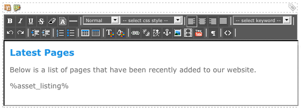 The WYSIWYG Editor on the Page Contents Bodycopy